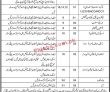 Jobs in Tehsil Headquarter Hospital THQ