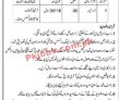 Jobs in Tehsil Municipal Administration