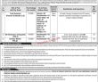 Jobs In Ten Billion Tree Tsunami Programme Ajk