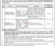 Jobs in The Benazir Bhutto Shaheed University of Technology and