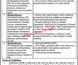 Jobs in The Board of Governors MTI Nowshera