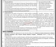Jobs In The Board Of Governors Of Mti Nowshera