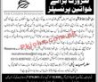 Jobs In The Citizen Foundation