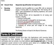Jobs in The Gajju Khan Medical College