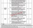 Jobs In The Government Sadiq College Women University