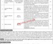 Jobs In The Institute Of Management Sciences Imsciences