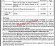 Jobs In The Islamia University Of Bahawalpur