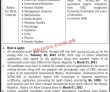 Jobs in The Islamia University of Bahawalpur
