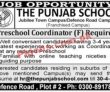 Jobs in The Punjab School