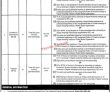 Jobs in The Rawalpindi Women University