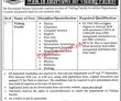 Jobs In The Rawalpindi Women University