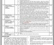 Jobs In The Shaikh Ayaz University Shikarpur