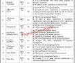 Jobs In The Sheikh Mohammad Bin Zayed Al Nahyan Institute Of