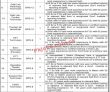 Jobs In The Sheikh Mohammad Bin Zayed Al Nahyan Institute