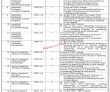 Jobs In The Sheikh Mohammad Bin Zayed Al Nahyan (smbzan)