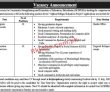 Jobs In The Society For Community Strengthening And Promotion Of