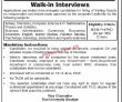 Jobs In The University Bhakkar