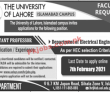 Jobs in The University of Lahore Islamabad Campus