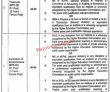 Jobs in The Women University Multan