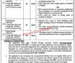 Jobs In The Women University Multan