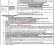 Jobs in The Women University Multan