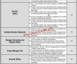 Jobs In Times Institute