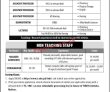 Jobs in Times Institute