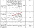 Jobs In Trade Corporation Of Pakistan Private Limited