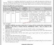 Jobs in Trade Development Authority of Pakistan TDAP