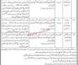 Jobs In Trade Development Authority Of Pakistan