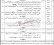 Jobs In Trading Corporation Of Pakistan Private Limited