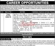Jobs in TransPeshawar