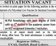 Jobs In Uvas