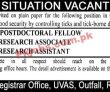 Jobs In Uvas