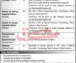 Jobs In Umeed Special Education School Peshawar