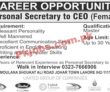 Jobs In United Group Of Companies