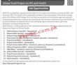 Jobs In United Nations Development Programme Undp