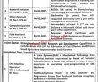 Jobs In University Of Agriculture Faisalabad