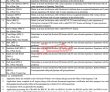 Jobs In University Of Buner