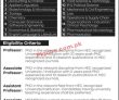 Jobs In University Of Central Punjab