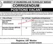 Jobs in University of Engineering and Technology Mardan