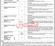 Jobs In University Of Engineering And Technology Mardan
