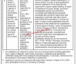 Jobs In University Of Gwadar