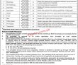 Jobs In University Of Health Sciences Uhs Lahore