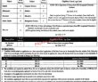 Jobs In University Of Jhang Main Campus