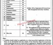 Jobs In University Of Jhang