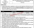 Jobs In University Of Jhang