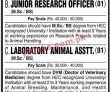 Jobs in University of Karachi UOK