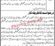 Jobs In University Of Karachi