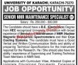 Jobs in University of Karachi
